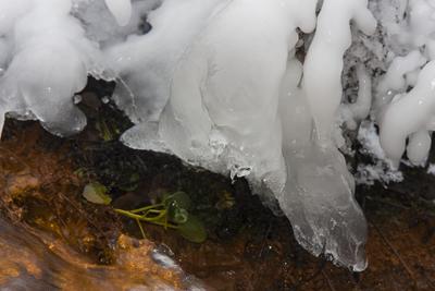 /galleries/ausstellungen/2013/2013-Eiszeit/_MG_9609-24.thumbnail.jpg