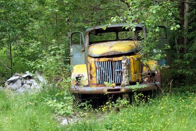 /galleries/ausstellungen/2016/2016-frei/Fr_frei_Natur_und_Technik4.thumbnail.jpg