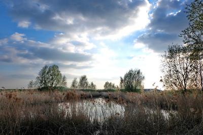 /galleries/ausstellungen/2016/2016-landschaft/Fr-4-16-01.thumbnail.jpg