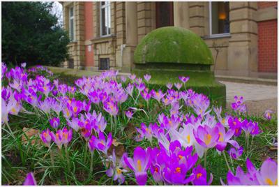 Frühling an der Villa Post