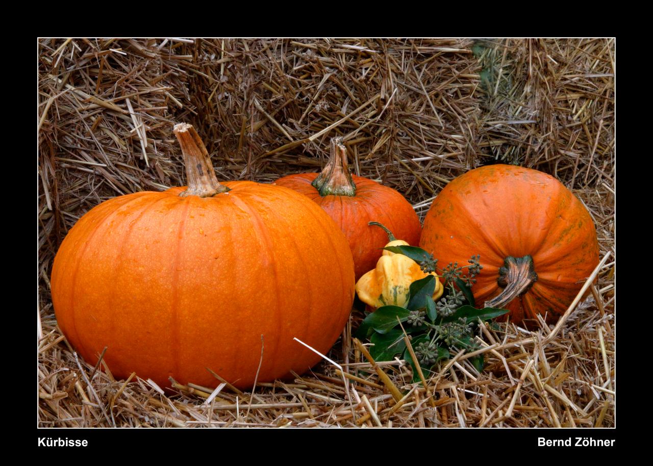 Symbolbild Ausstellung Herbst