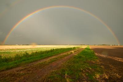 Regenbogen