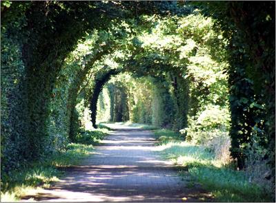 Lenneradweg