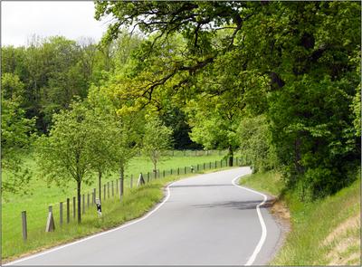 Kattenohler-Straße