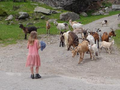 Junge Hirtin im Ultental, Alto Adige