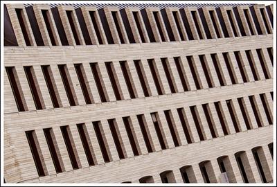 Lauter Fenster