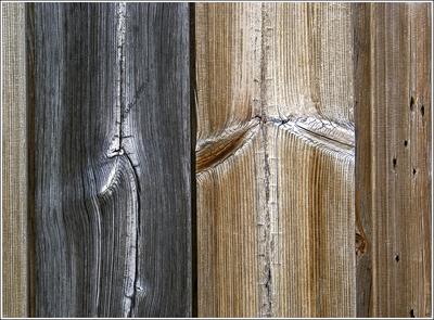 Holz