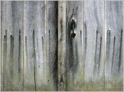 Holz