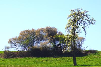 Landschaftsbild