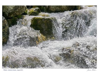 /galleries/mitglieder/johannes/Gestalten-des-Wassers/JH-2012-08-01-162046.thumbnail.JPG